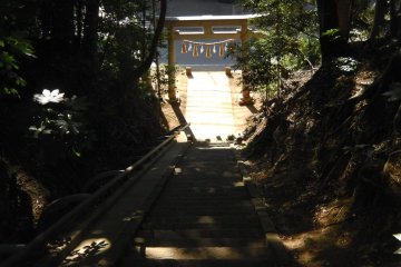 Stairway to reality