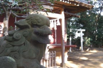 Guardian of the shrine