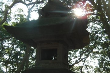 Sunlight sprinkes the shrine