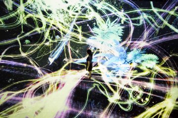 The Universe and Art Exhibition 2016-2017