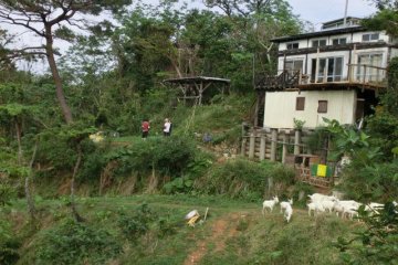 View of the Nature Cottage and Hatake (Veggie Gardens)