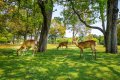 Nara City