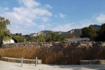 <p>The wall of the stone circle; the sculptures are inside</p>