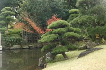 Japanese landscaping