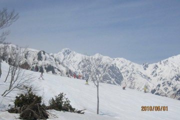 Top of Goryu in May