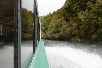The hovercraft can manage even shallow water. Prime forest lines the river banks.