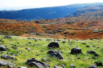 Mount Gassan in October - mountain vegetable pickers like Haga-san find edible plants everywhere during the warm season
