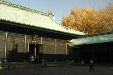<p>The door is only open on weekends and holidays</p>