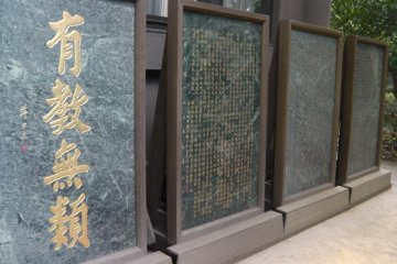 <p>Tablets in a row</p>