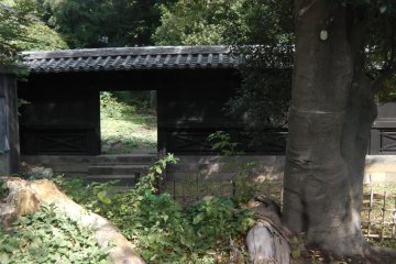<p>The unique black architecture</p>