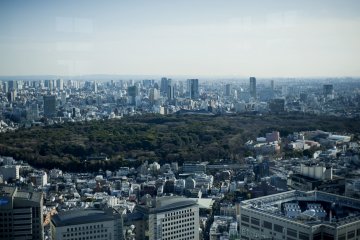 남관측소의 요요기공원과 메이지 진구