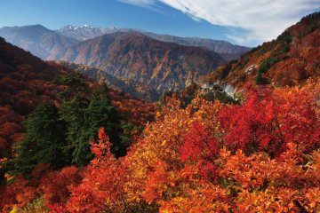 <p>สีสันในฤดูใบไม้ร่วงที่สวยงาม</p>