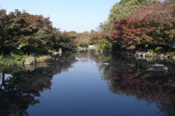 The garden at To-ji