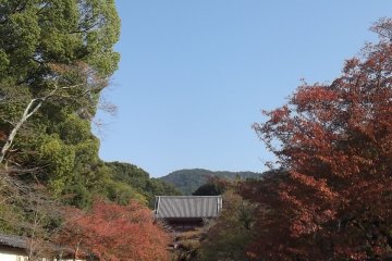 The approach to Daigo-ji