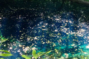 Aomori's Hypnotizing Lake