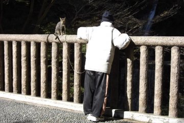 <p>The walk attracts a variety of local characters</p>