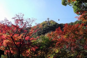 <p>Visit Mount Maya in autumn and it's ablaze with color</p>