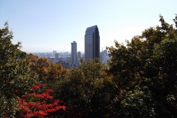 <p>A view of Kobe from the mountain</p>