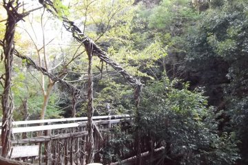 <p>A bridge where the path splits at a stream</p>