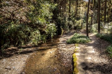  A peaceful stream 
