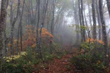Shinetsu Trail, Part 2