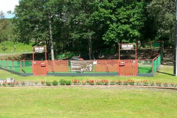There is even a play area for dogs