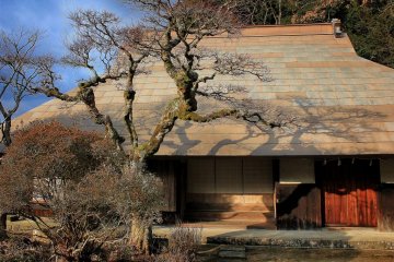 Konpira-ji Temple and Ichijo-an