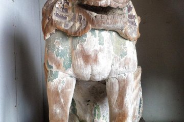 A closer view of the dog