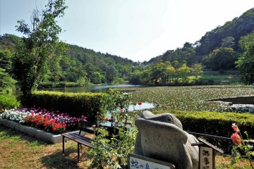 Fukushima's Janohana Garden