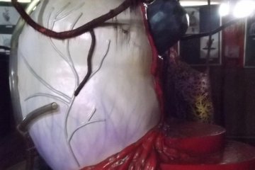 <p>A prop from 'The Man With the Red Tattoo'</p>
