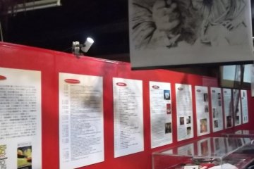 <p>And more of the displays</p>