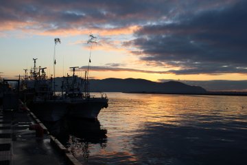 Ishinomaki Fish Market