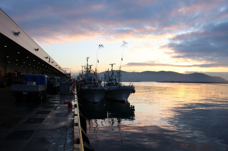 Welcoming the morning sunrise after the auctions finish