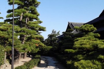 A stone path leading to the park's venerable wooden mansion