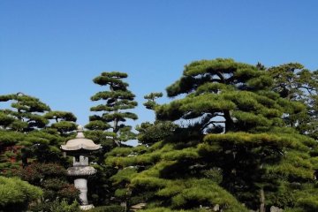 Bridge, lantern and trees, arranged to present an attractive view from any angle