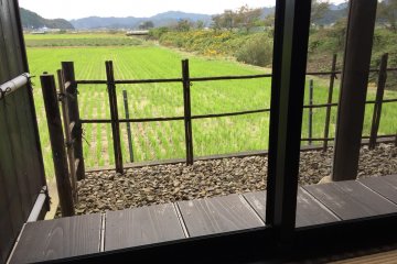 Enjoy the rice paddy view as you slurp your noodles