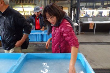 Mixing the paper pulp
