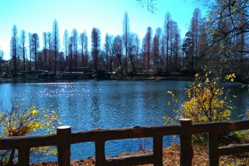 The Charms of Kichijoji