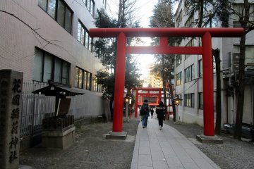 One of the many entrances to Hanazono shrine