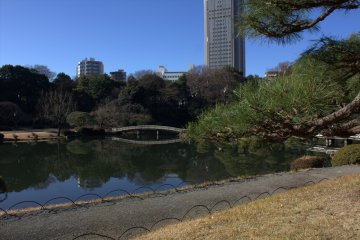 Shinjuku Gyoen National Park in winter
