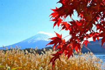 Superbes vues de Kawaguchiko, Préfecture de Yamanashi.