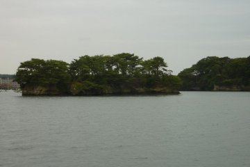 <p>A flat and short pine tree covered island in Matsushima Bay taken from a cruise boat during overcast weather.</p>