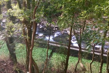 Anda bisa melihat sungai di antara pepohonan 