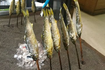 Ikan segar yang baru ditangkap, digarami, dan dibakar