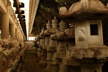 The interior courtyard