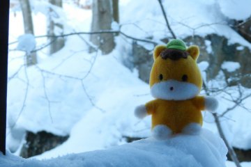 Gunma-chan!