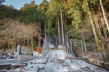 A few meters beyond the trailhead is this metal gate designed to prevent stray animals from entering or leaving the forest 