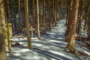  During this final part of the hike I didn’t see any other people until reaching Ikusabata Station