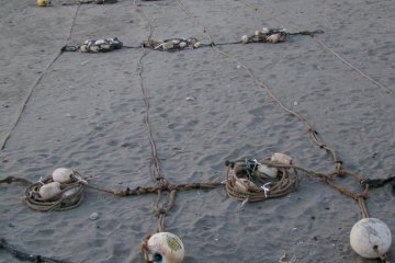 <p>It is a very long beach, shaped like a horseshoe</p>