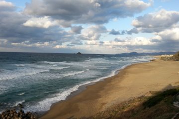 Along the beach